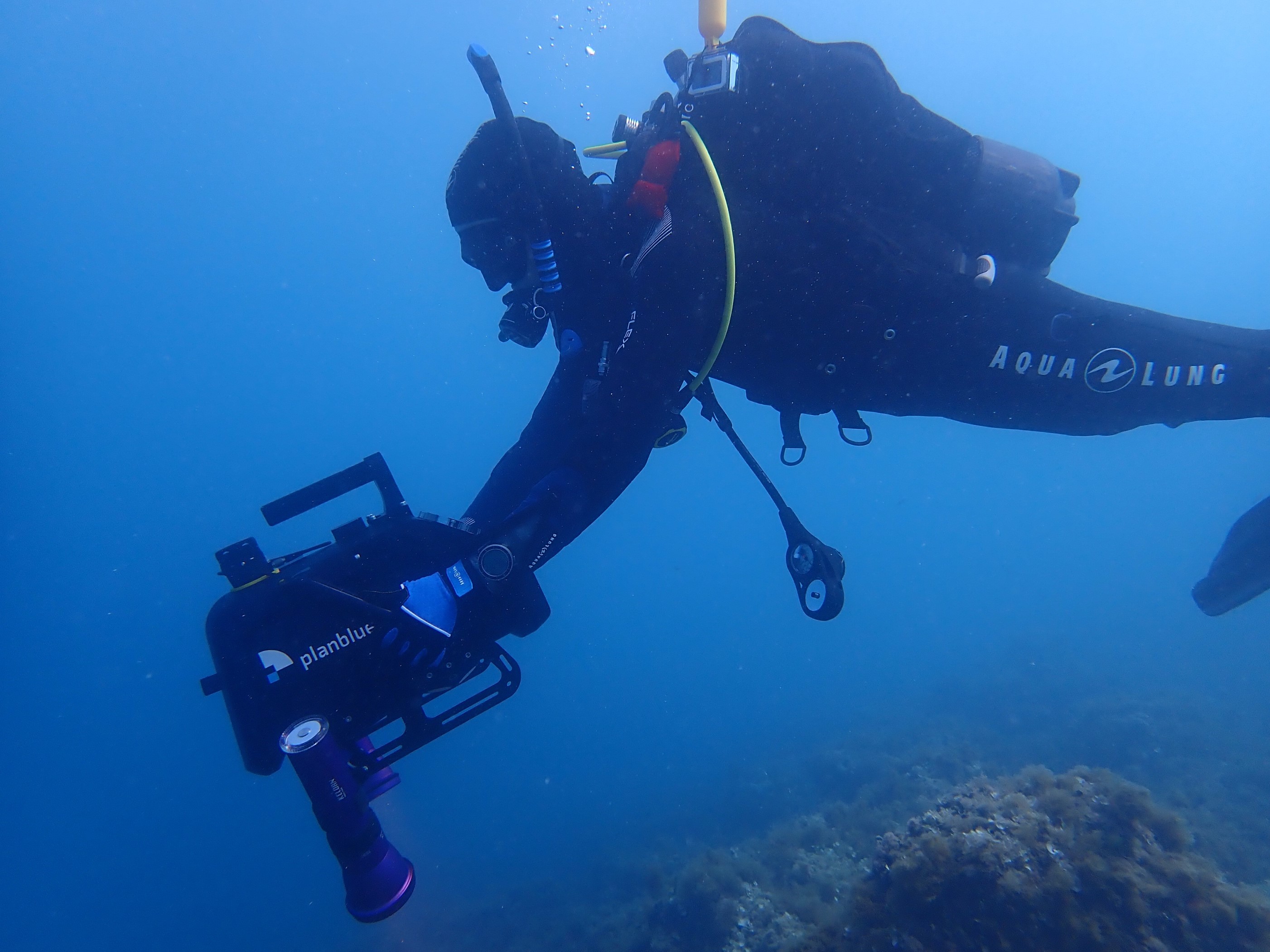 Ein Taucher unter Wasser, der eine Kamera führt
