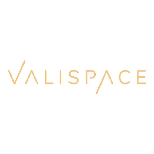 Logo Valispace